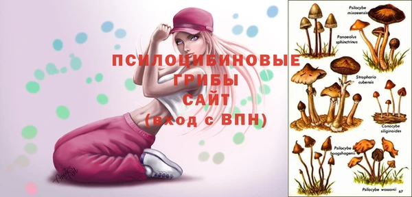 прущие крисы Покровск